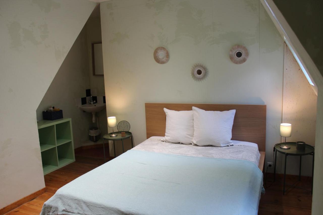 Grand Appartement Historique Rue Colbert Tours Bagian luar foto