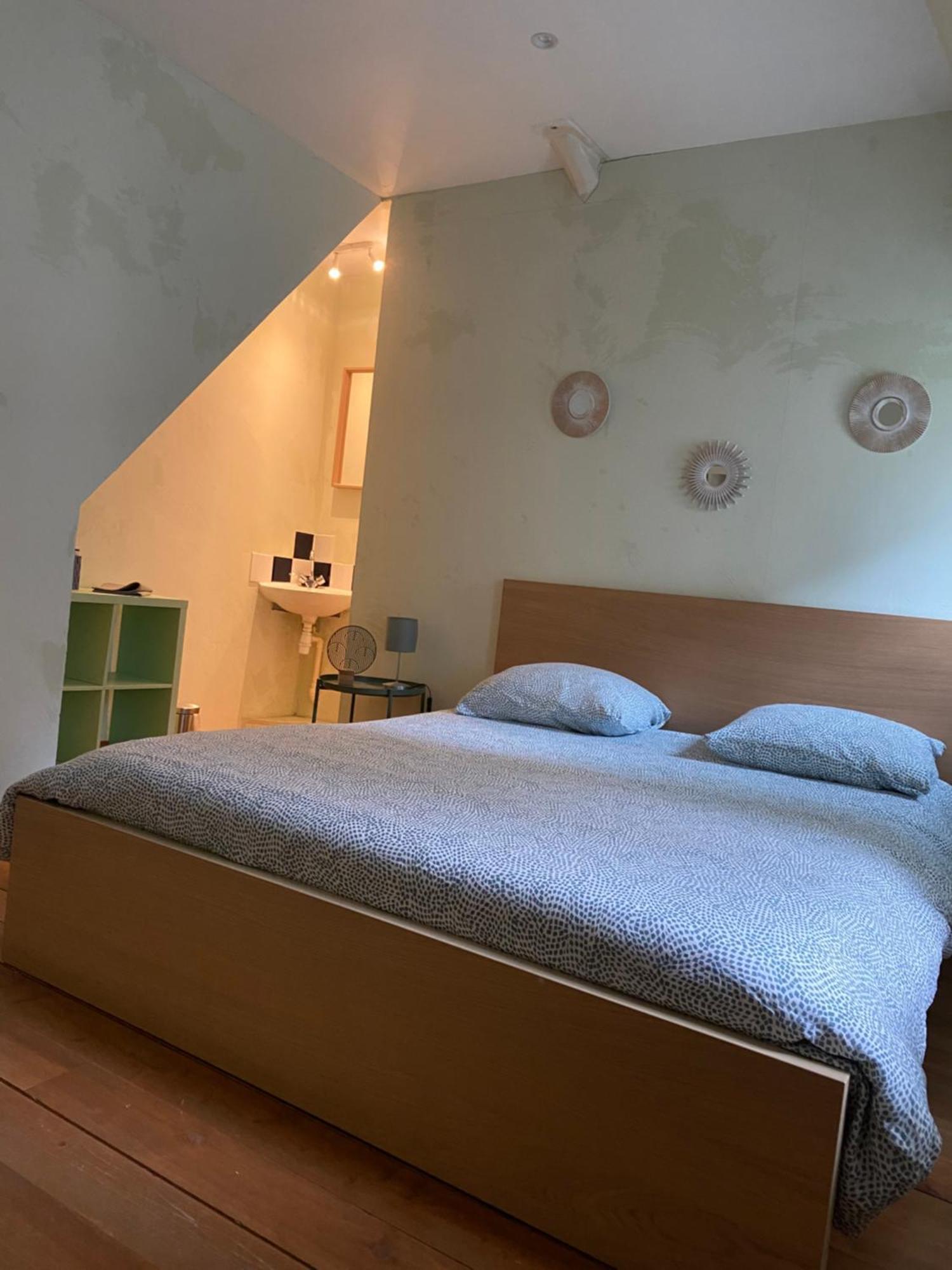 Grand Appartement Historique Rue Colbert Tours Bagian luar foto