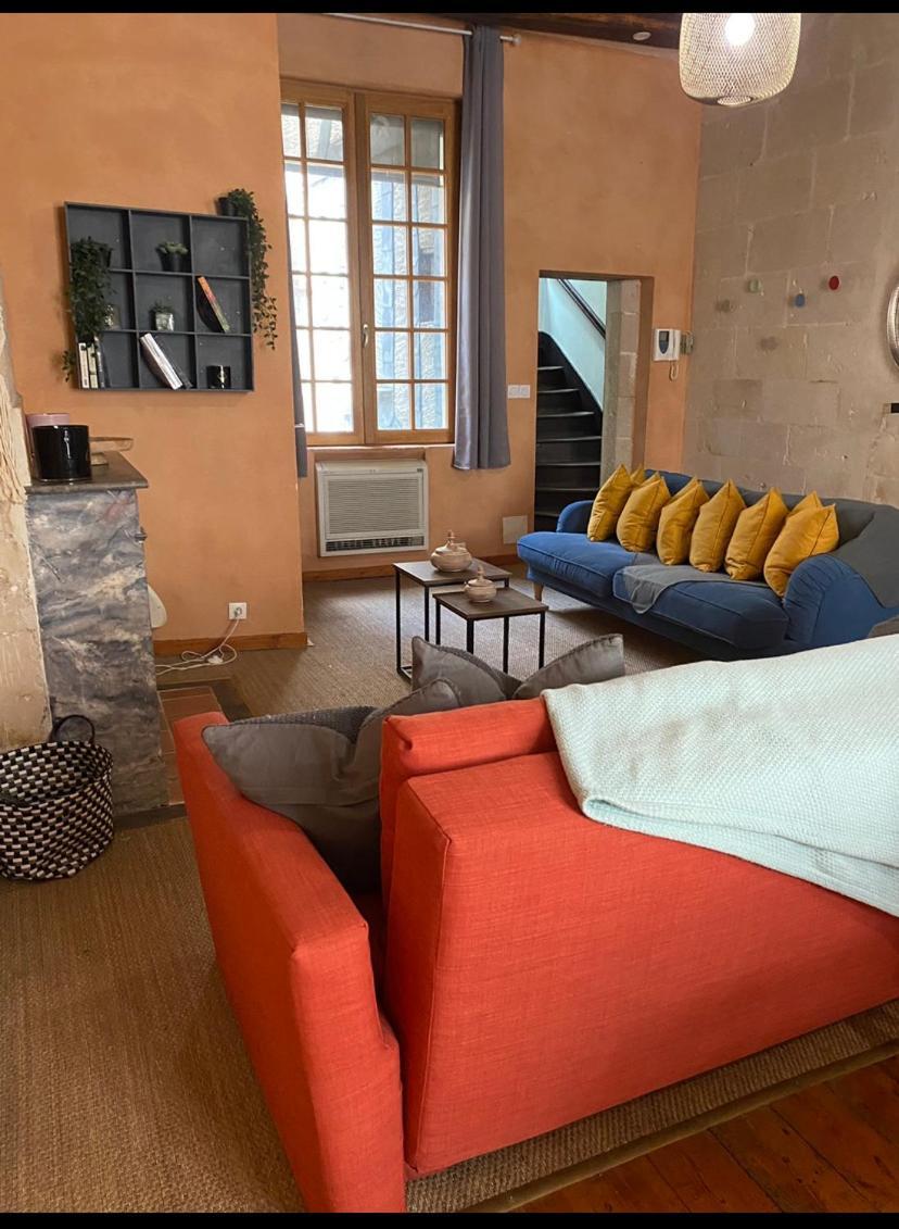 Grand Appartement Historique Rue Colbert Tours Bagian luar foto