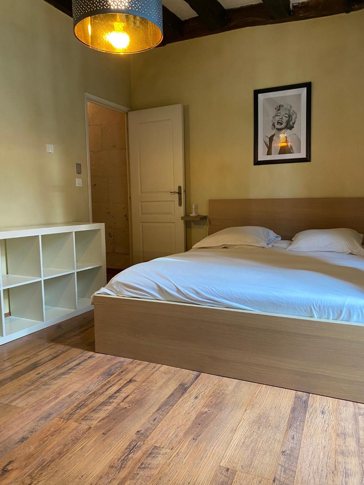 Grand Appartement Historique Rue Colbert Tours Bagian luar foto