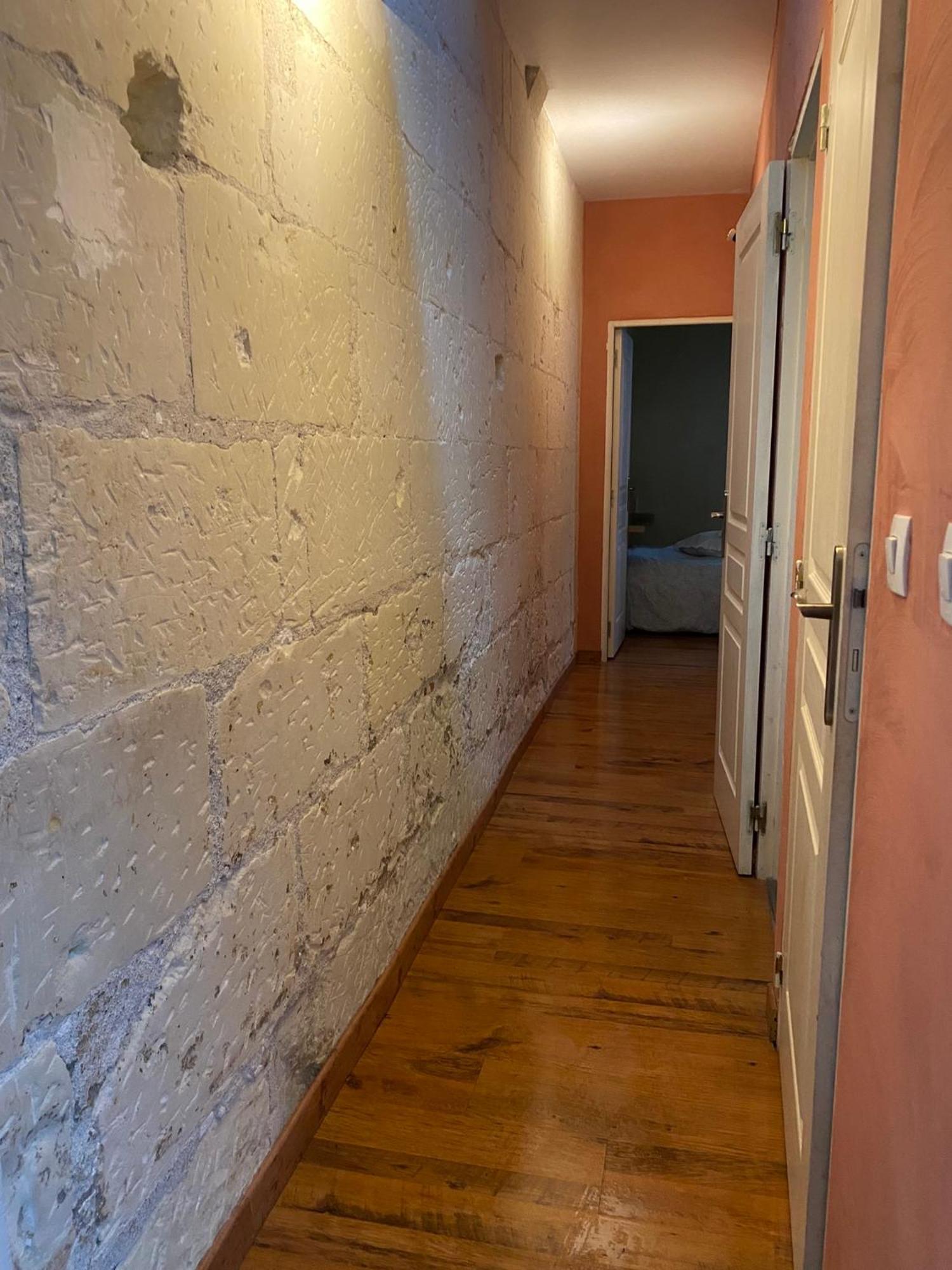 Grand Appartement Historique Rue Colbert Tours Bagian luar foto
