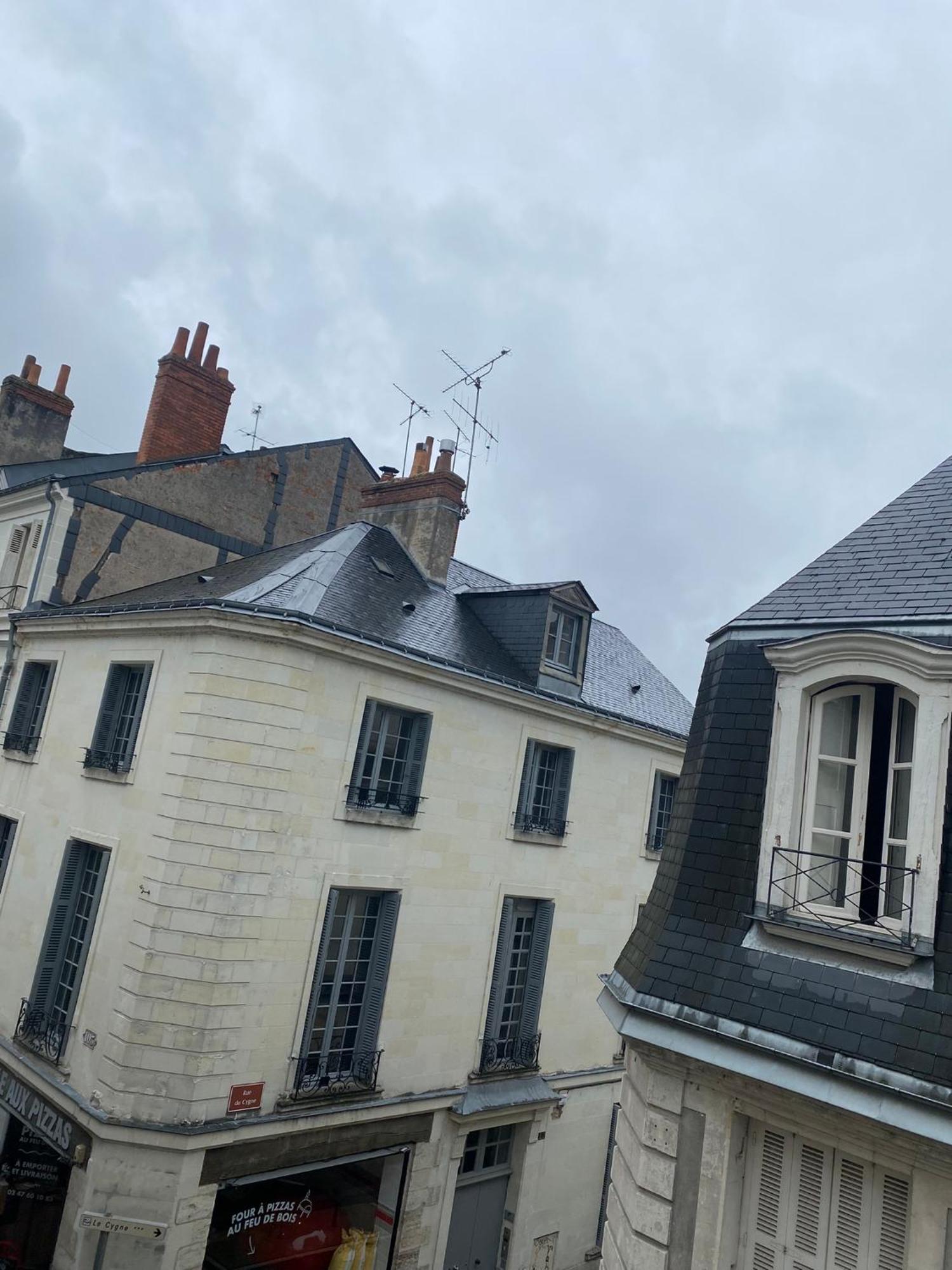 Grand Appartement Historique Rue Colbert Tours Bagian luar foto