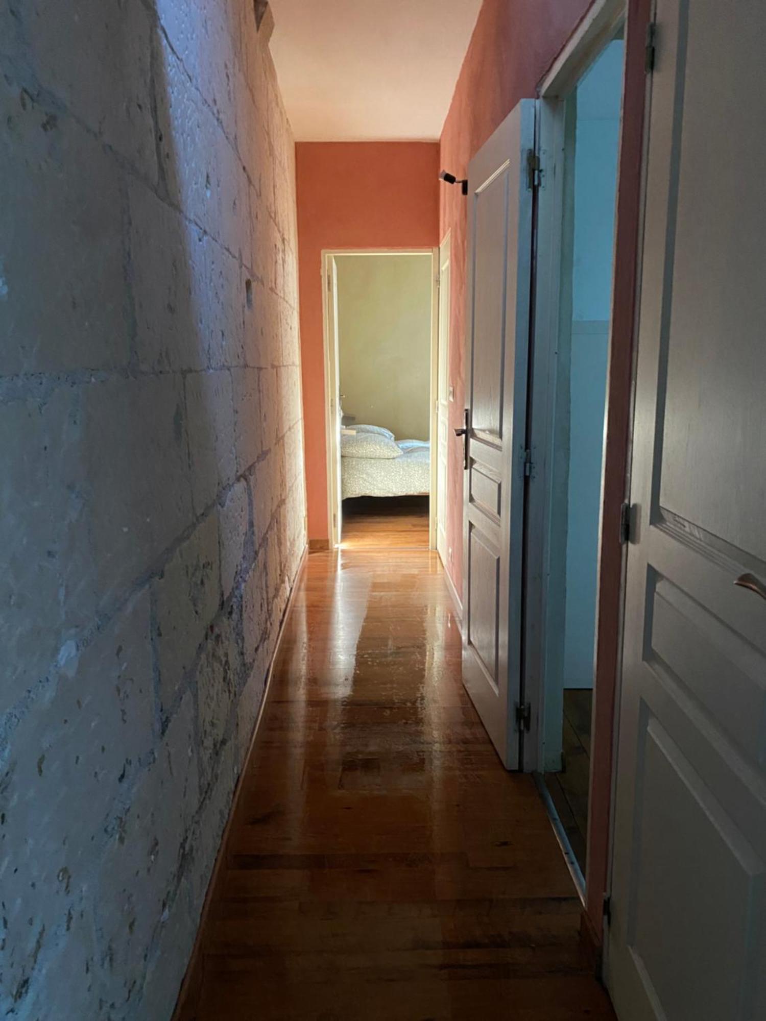 Grand Appartement Historique Rue Colbert Tours Bagian luar foto