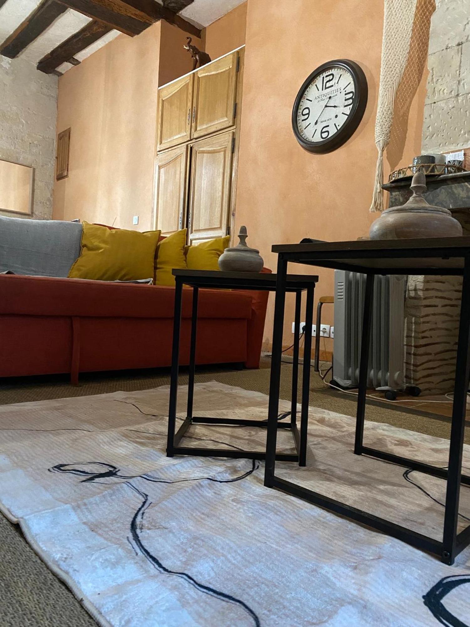 Grand Appartement Historique Rue Colbert Tours Bagian luar foto