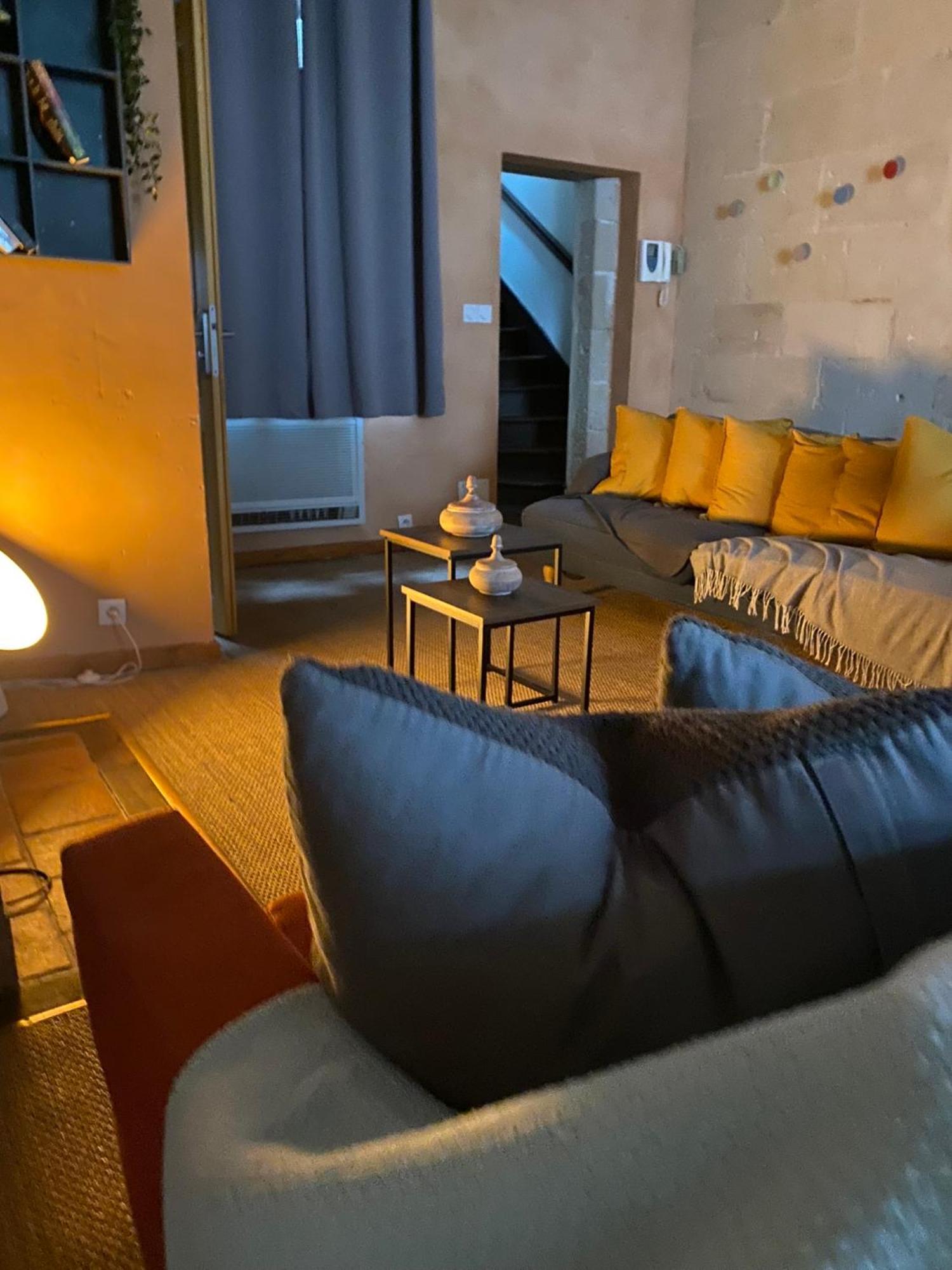 Grand Appartement Historique Rue Colbert Tours Bagian luar foto