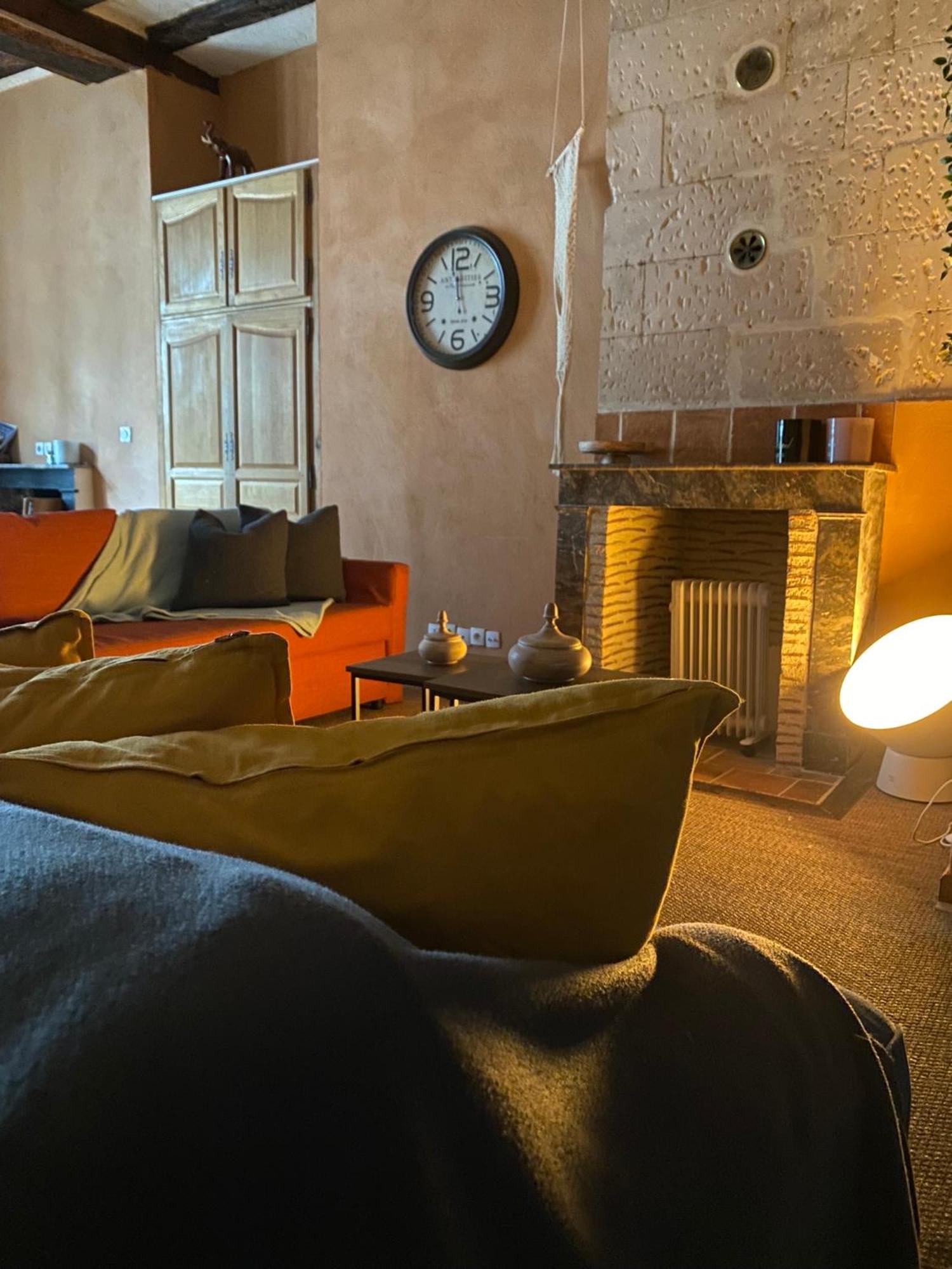 Grand Appartement Historique Rue Colbert Tours Bagian luar foto